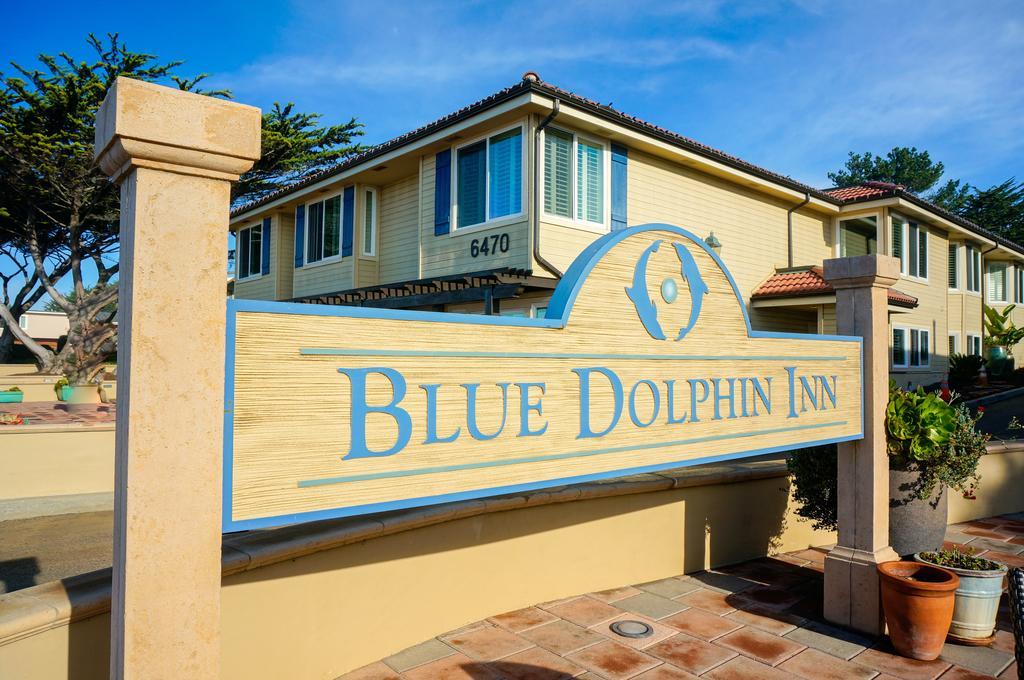 Blue Dolphin