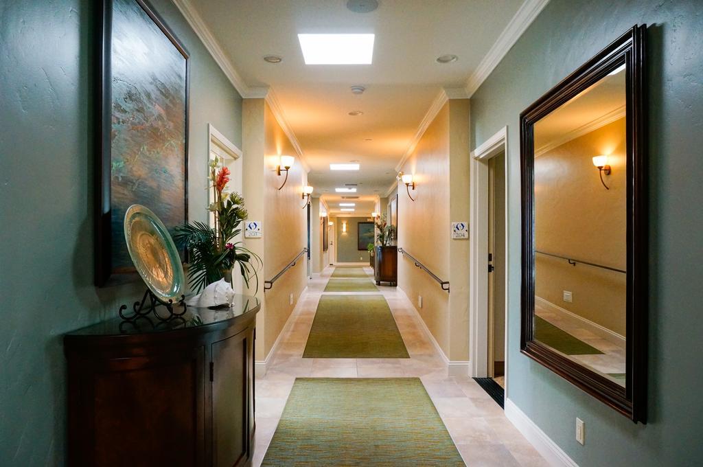Inn Blue Dolphin
